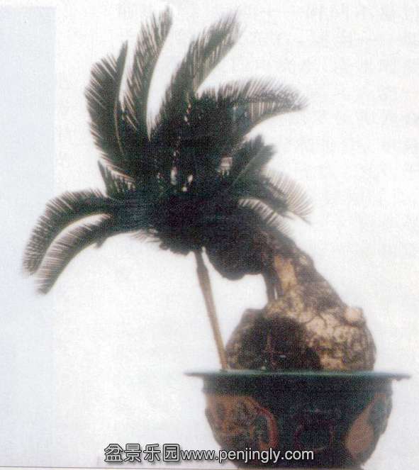 1ܽ-1-ľ05-5 .jpg