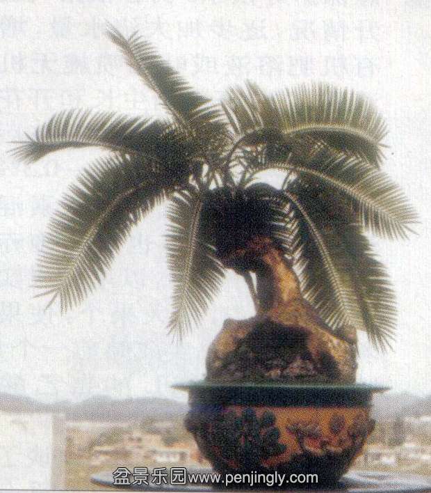 1ܽ-3-ľ05-5  3.jpg