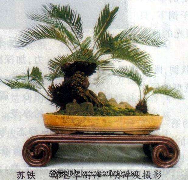 乩--½-.jpg