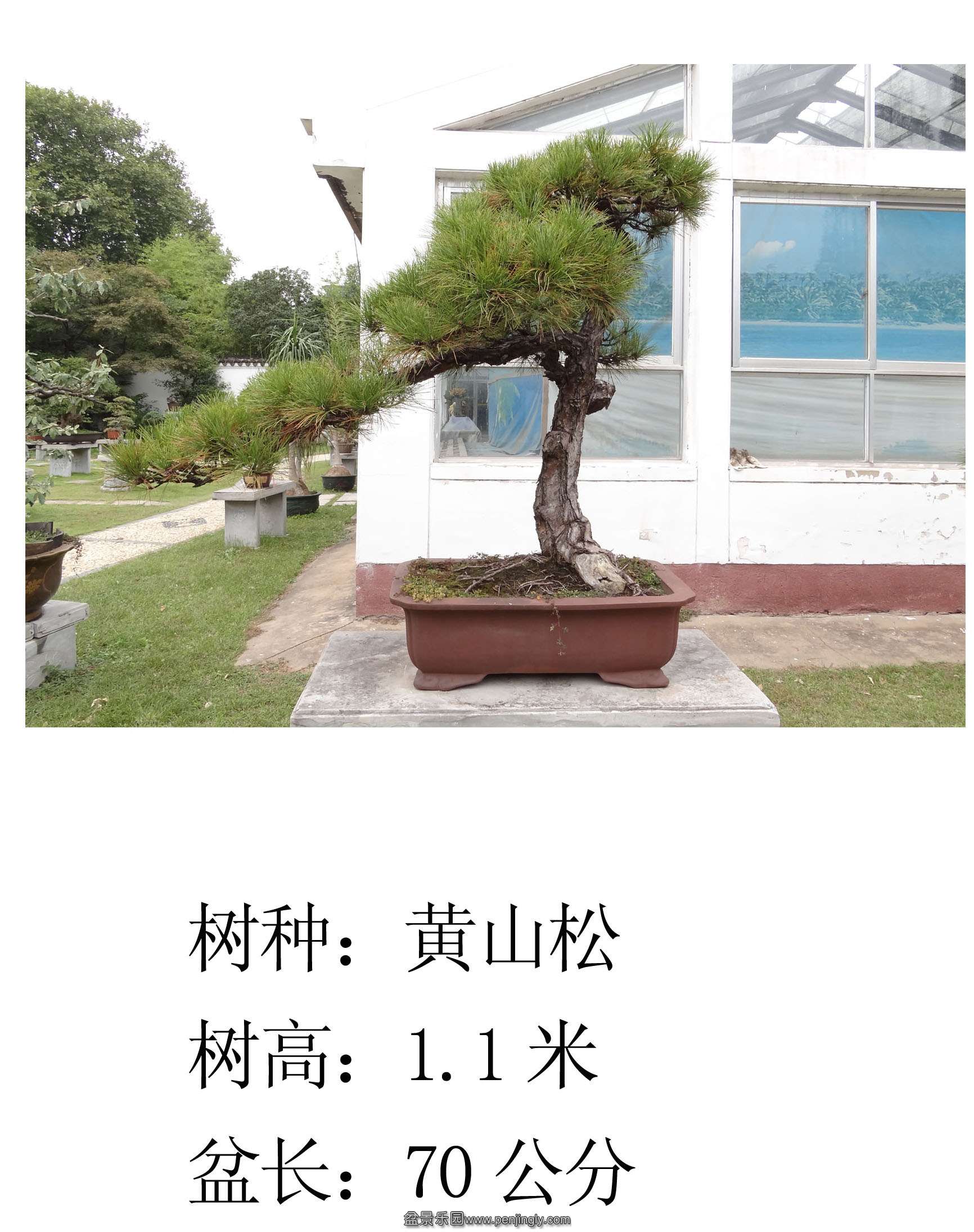 ɽ1.jpg