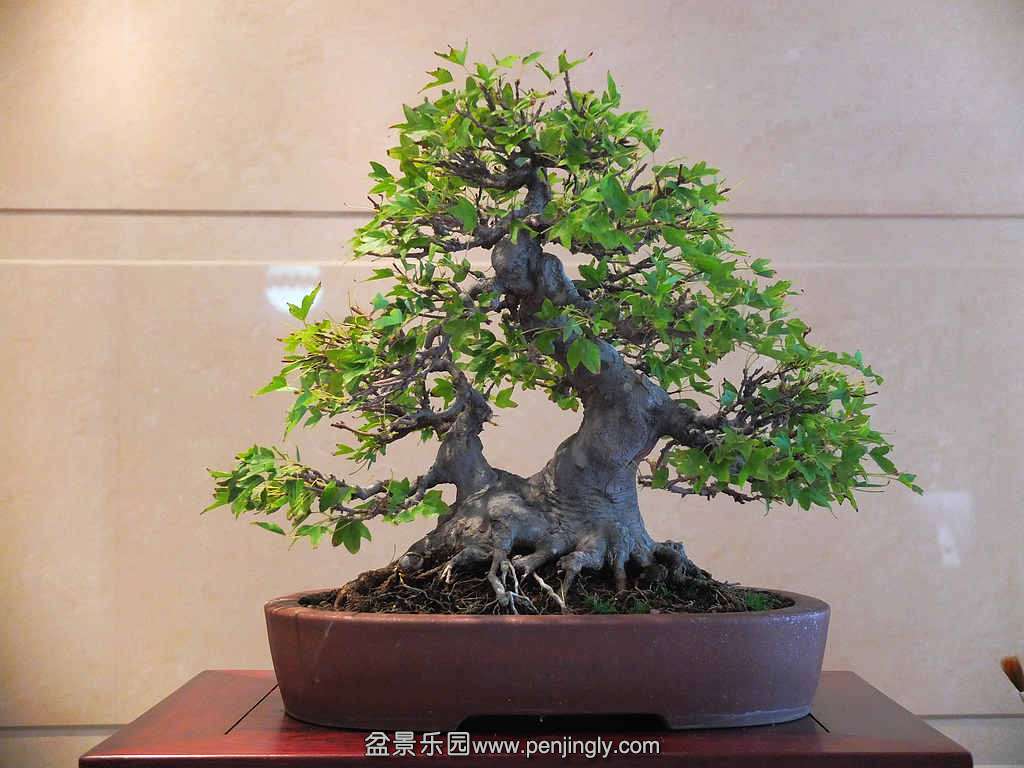 DSCF7128.jpg
