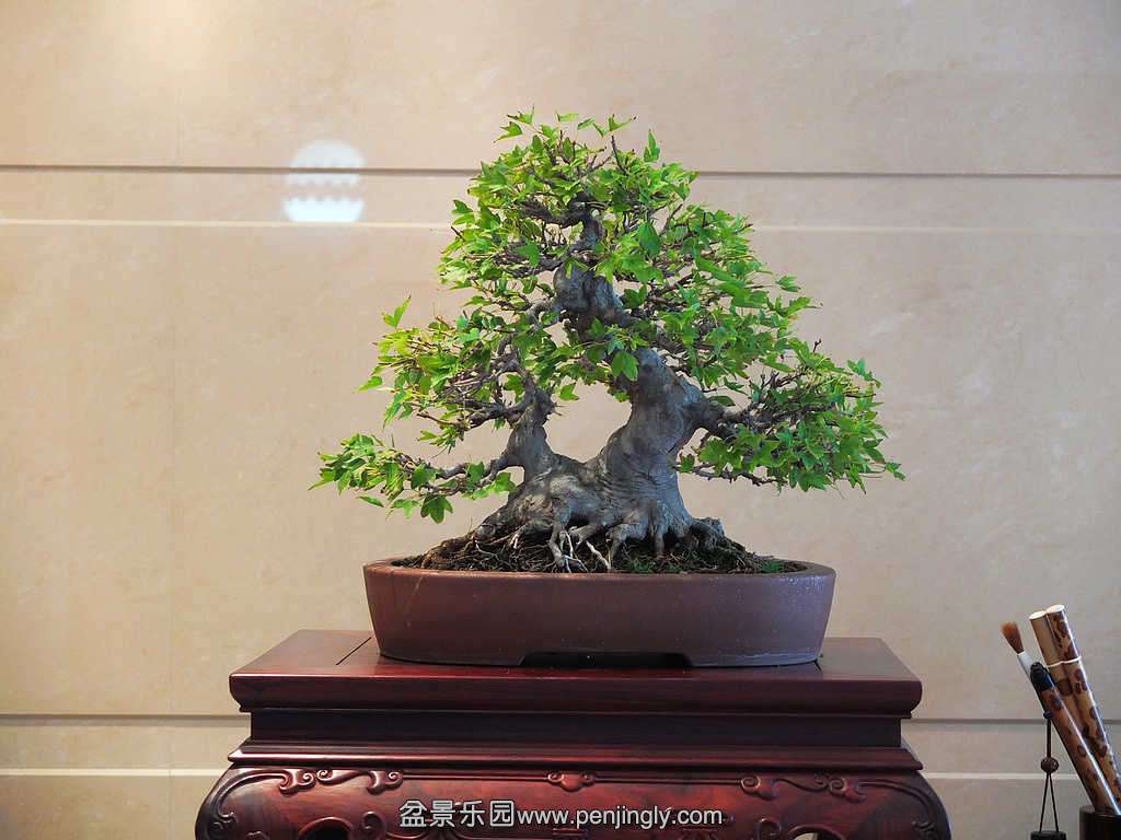 DSCF7133.jpg