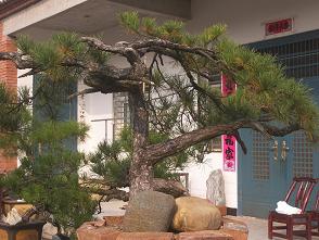 100_3112-1a.JPG