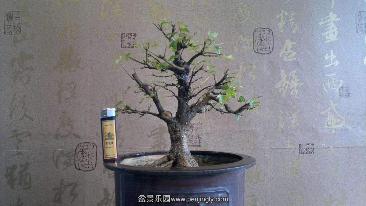 2013-10-20-746.JPG