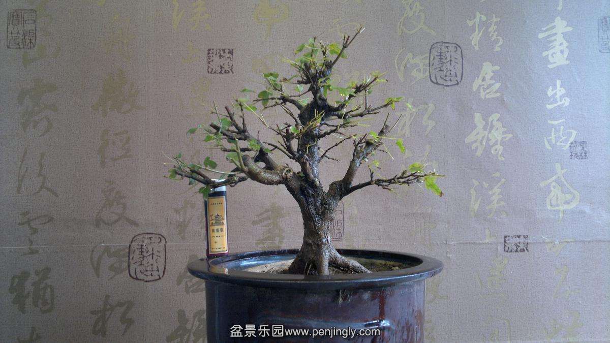 2013-10-20-747.JPG