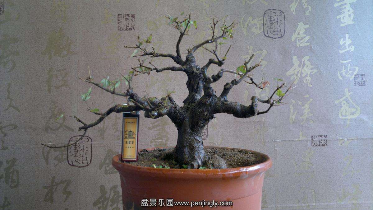 2013-10-20-750.JPG