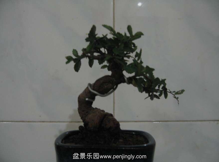 QQͼƬ20131020153025.jpg