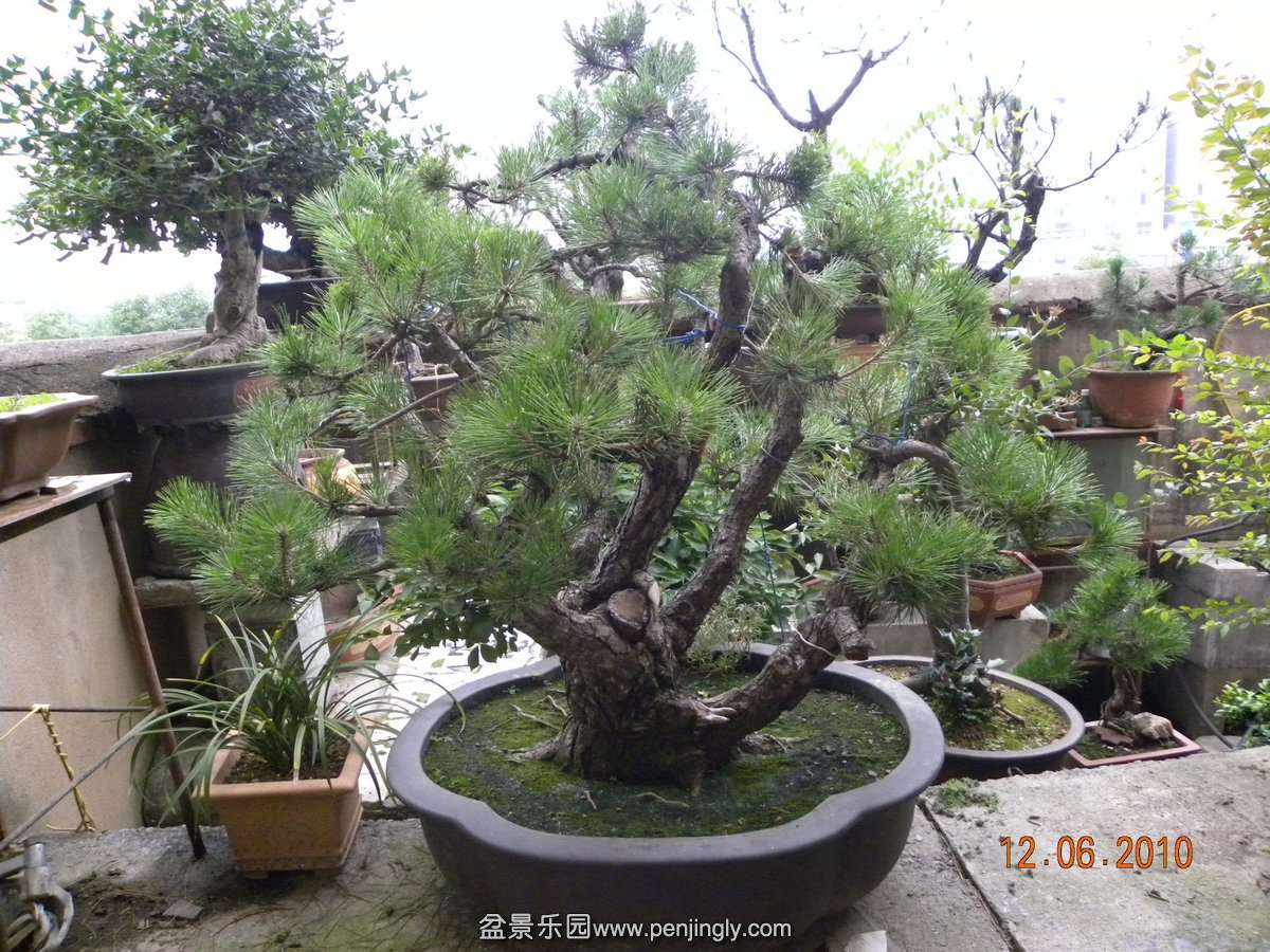 2010.6.17 004.jpg