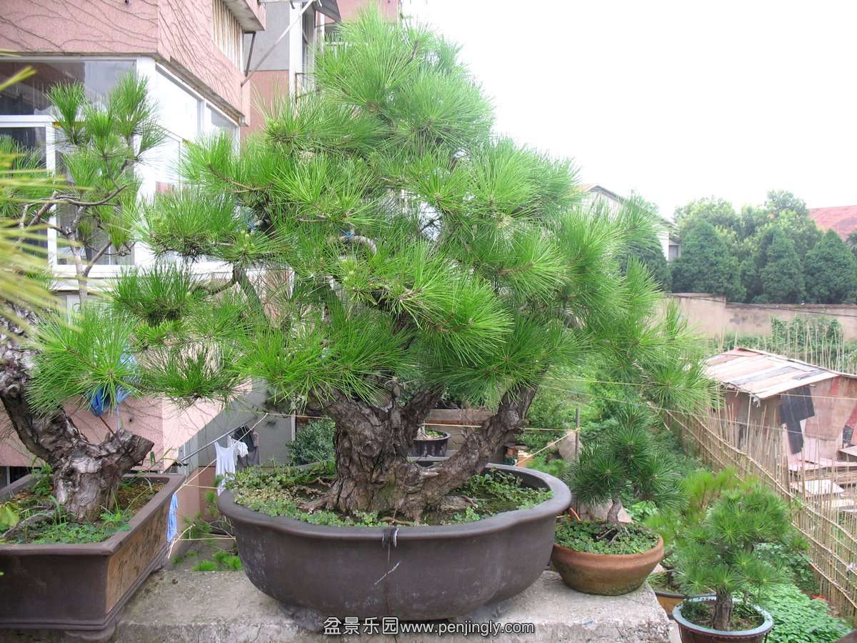 2011.7.8.jpg