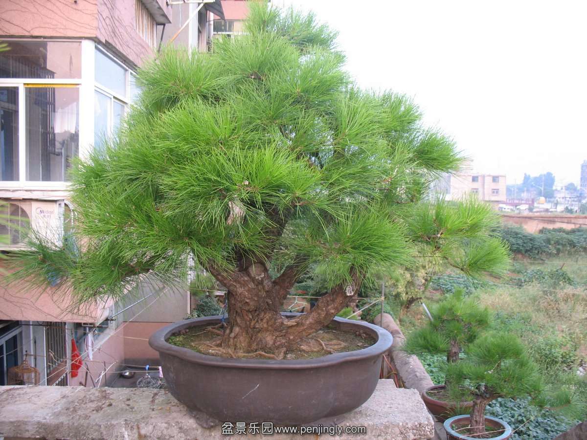 20120910.jpg