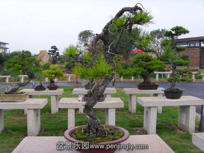 SDC12790.JPG