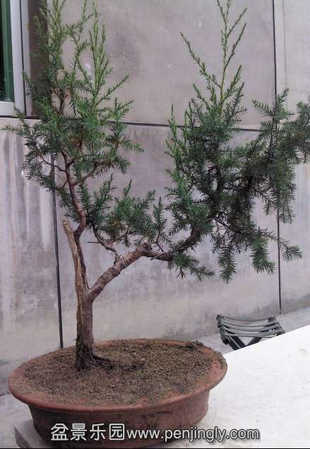 QQͼƬ20030101010329.jpg