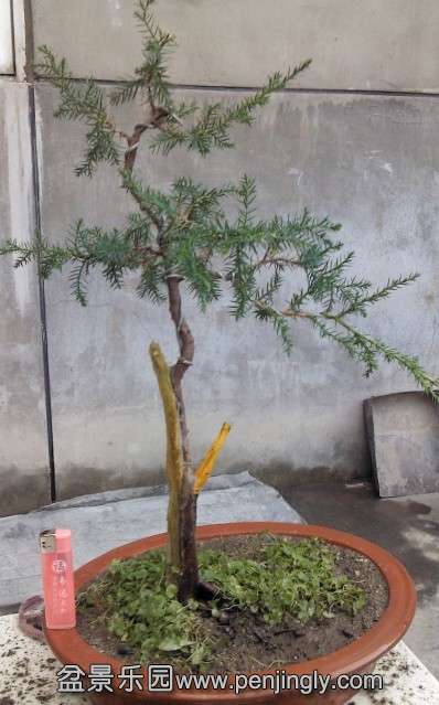 QQͼƬ20030101010342.jpg