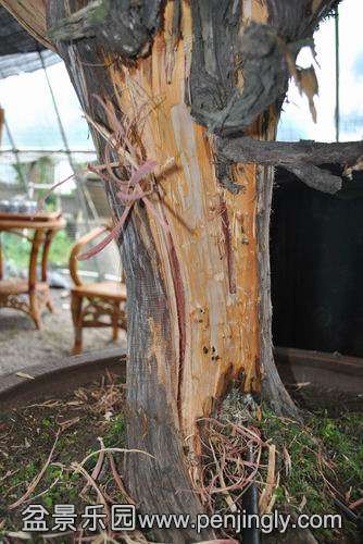 DSC_0723.jpg3.jpg