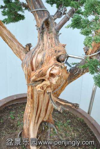 DSC_0767.jpg12.jpg