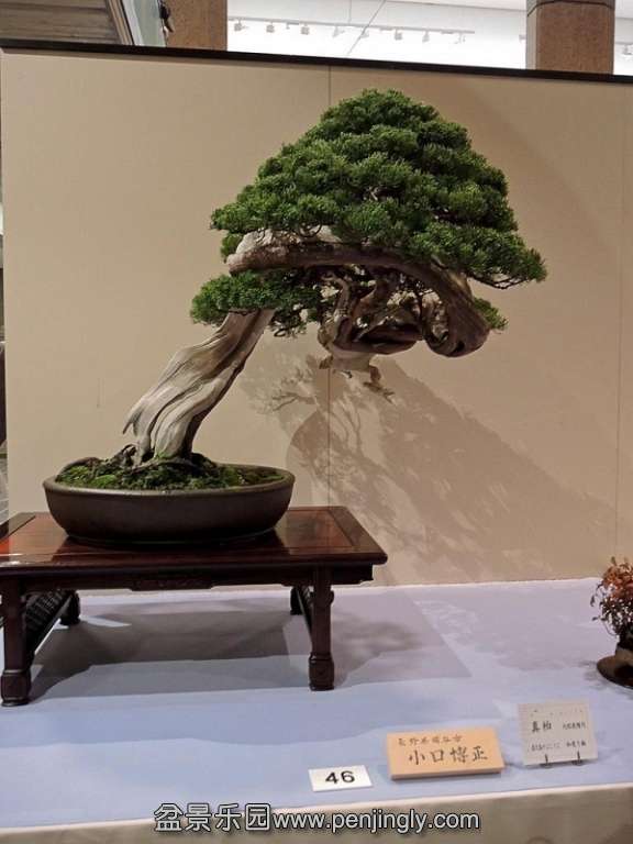 Kokufu Ten 2013 016.jpg