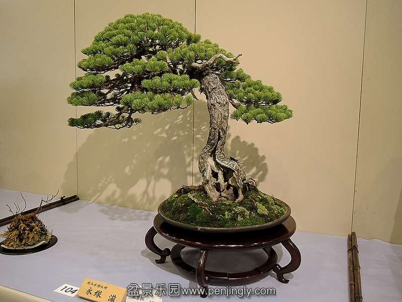 Kokufu Ten 2013 057.jpg