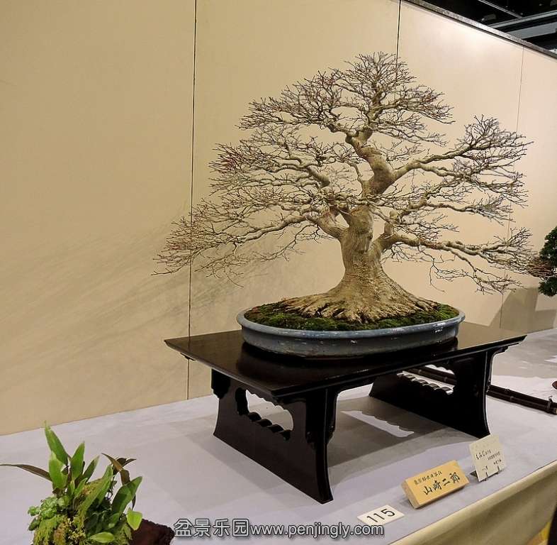Kokufu Ten 2013 059.jpg
