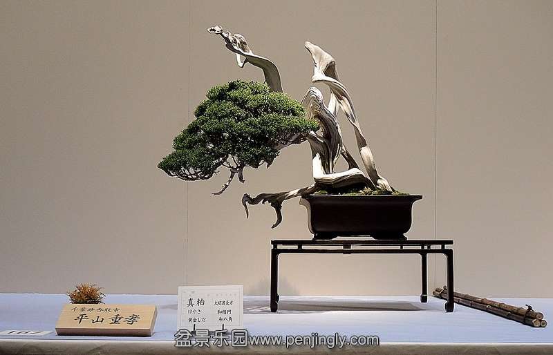 Kokufu Ten 2013 064.jpg