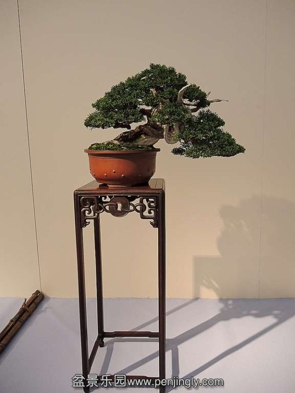 Kokufu Ten 2013 066.jpg