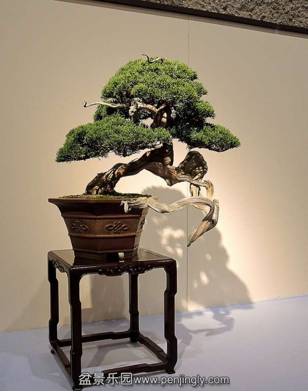 Kokufu Ten 2013 067.jpg