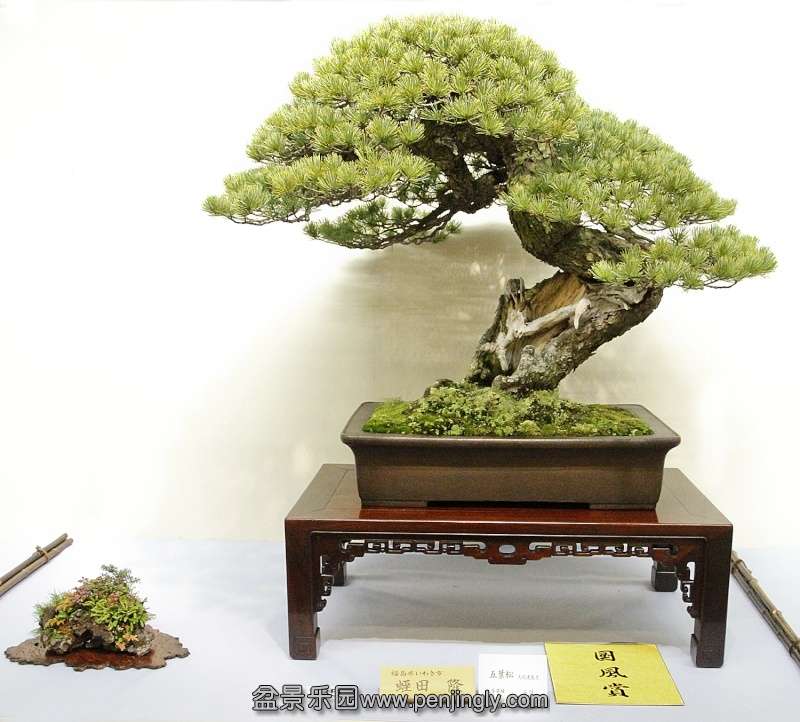 Kokufu Ten 2013 074.jpg