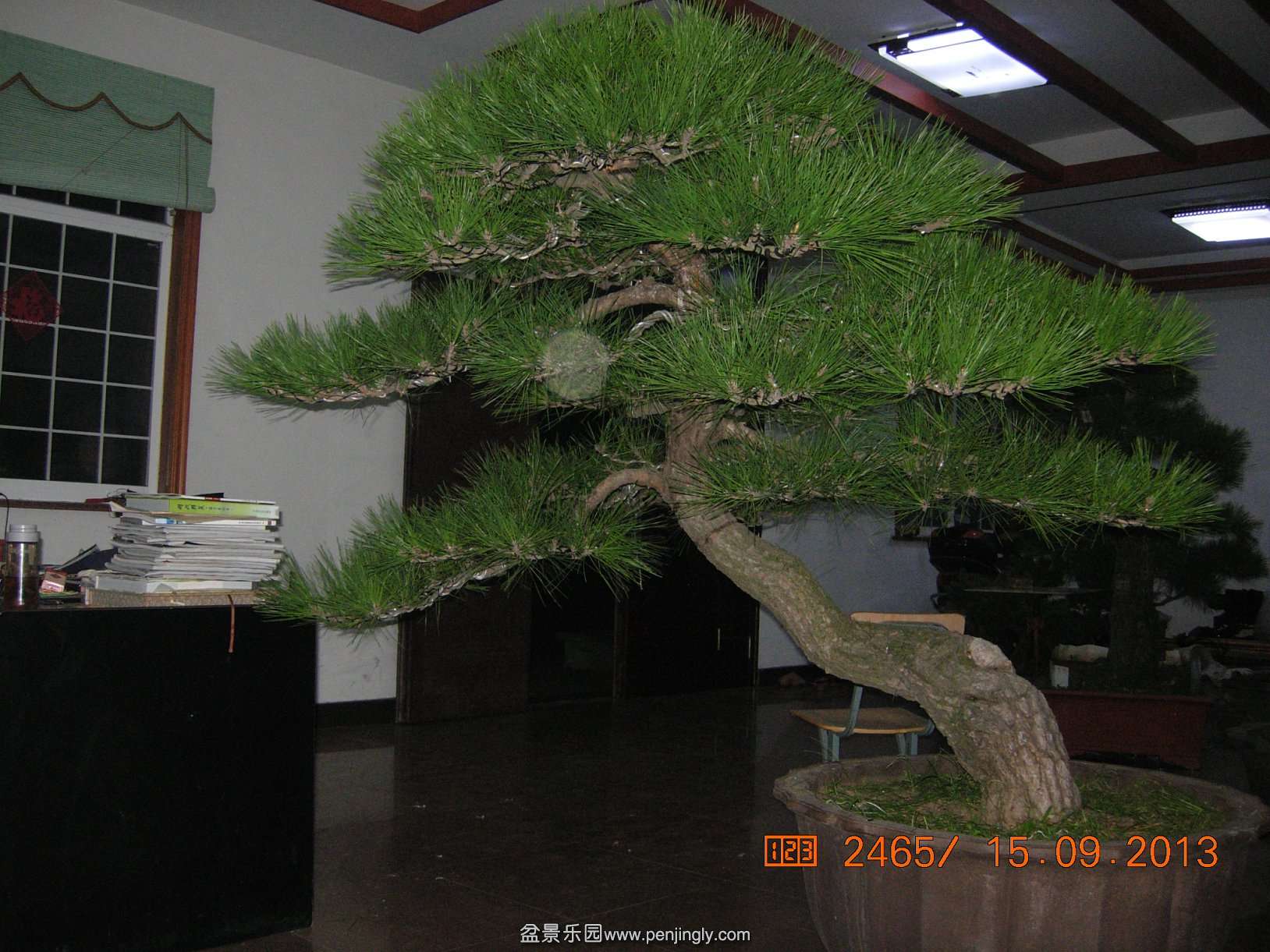 DSCN6962.JPG