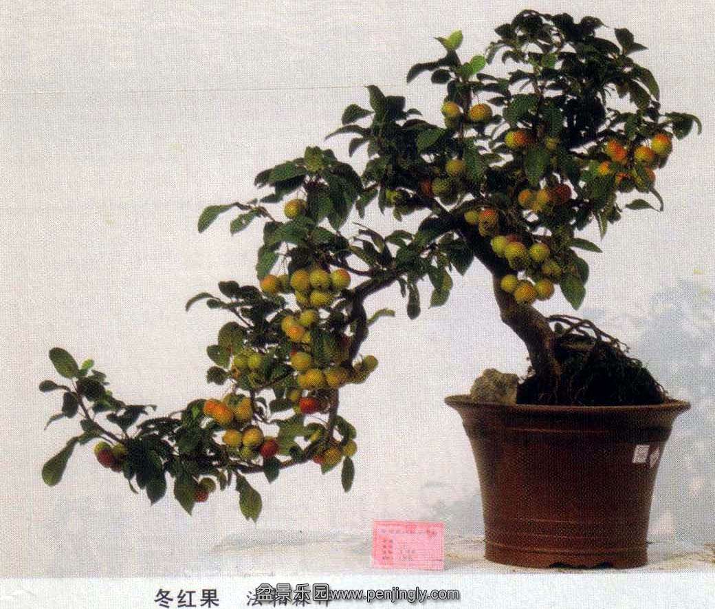 ɭ-2.jpg