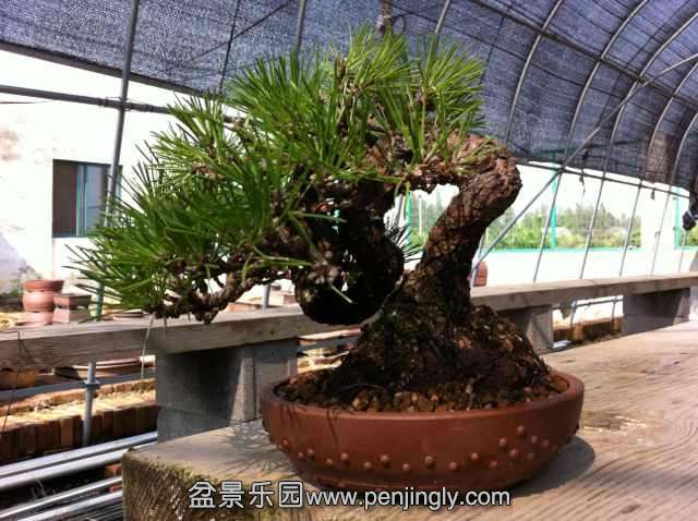 IMG_0200 (640x478).jpg