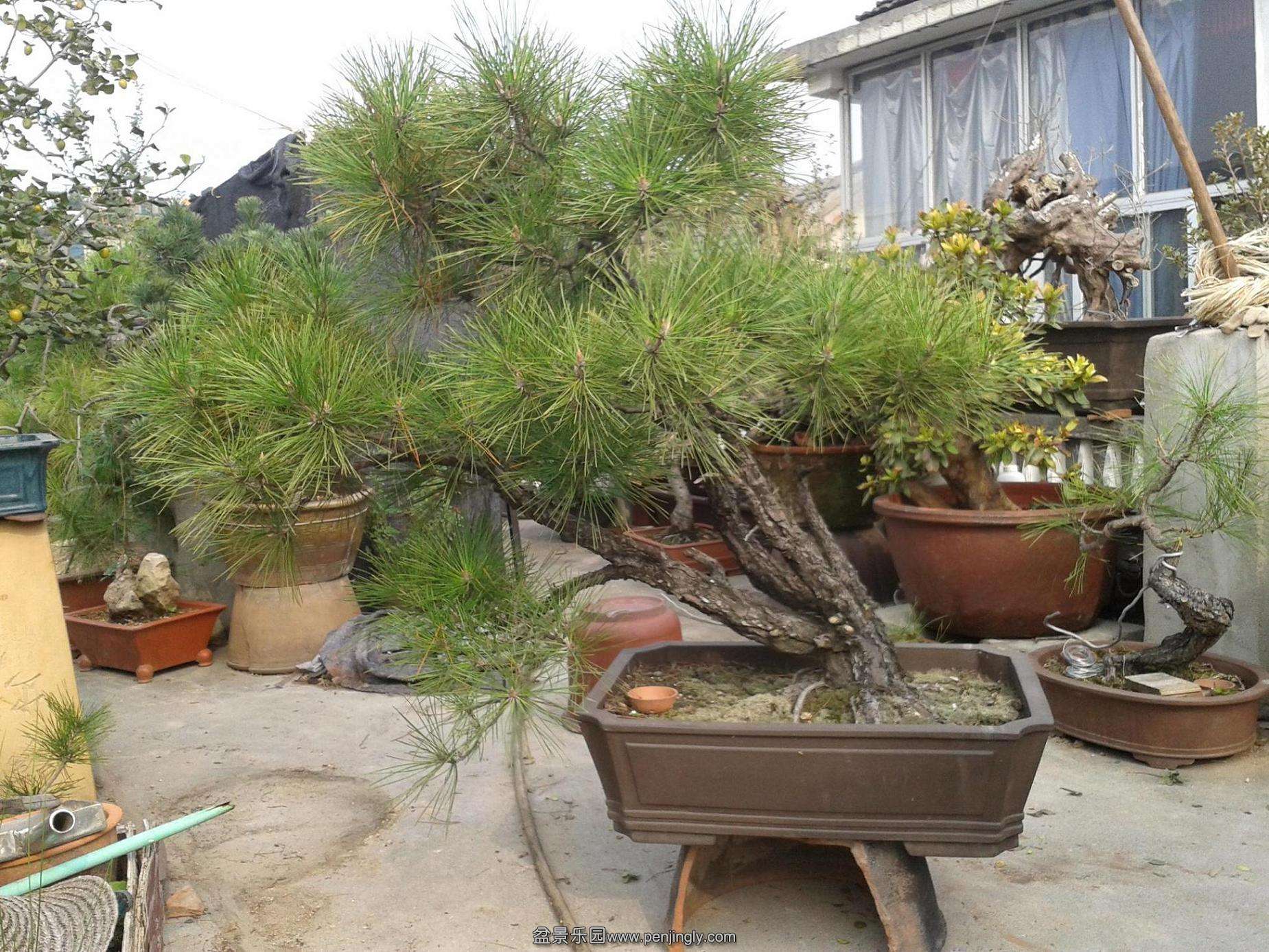 2013-10-20 09.16.59.jpg