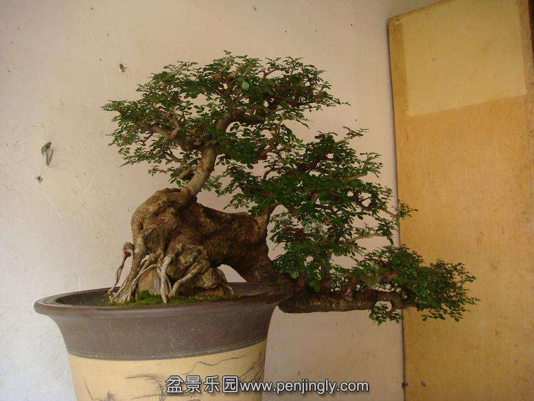 DSC05500.JPG