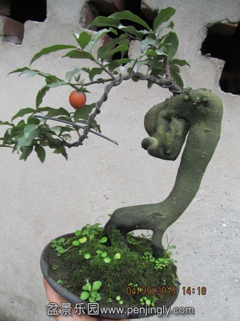 Ƭ 052.jpg