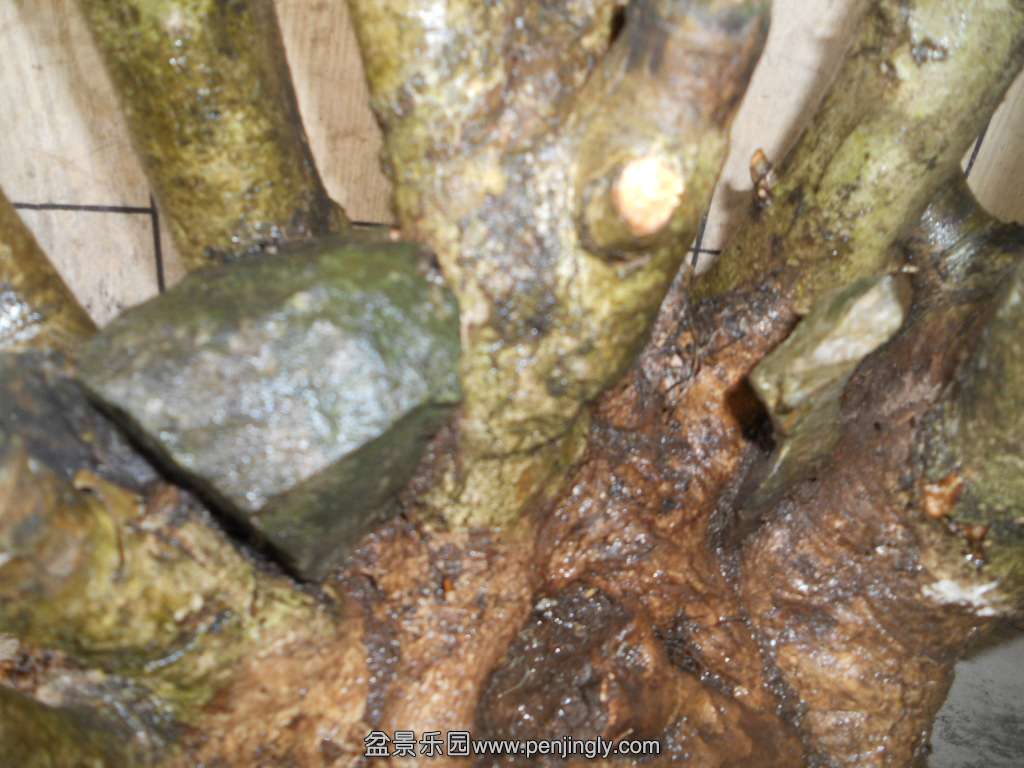 DSCN5085.JPG