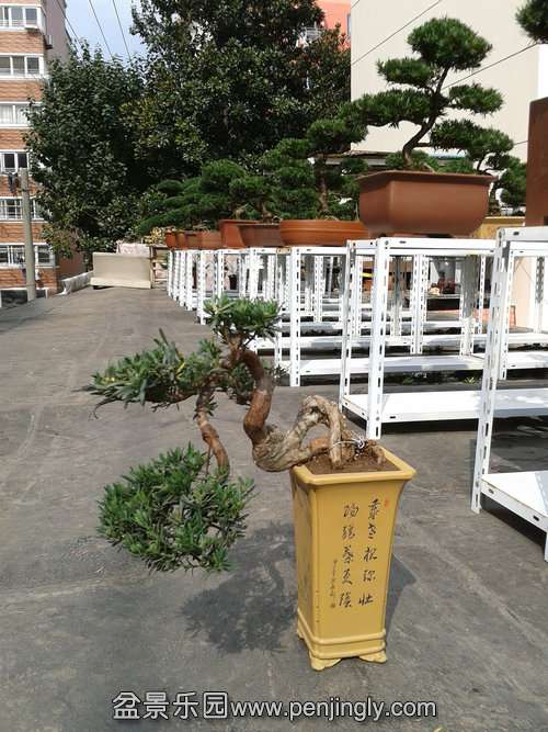 2013-10-23 12.57.40.jpg