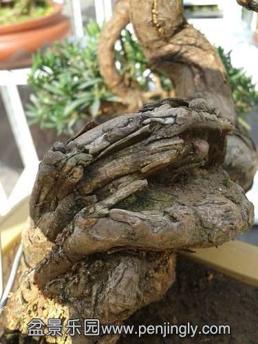 2013-10-23 12.36.41.jpg