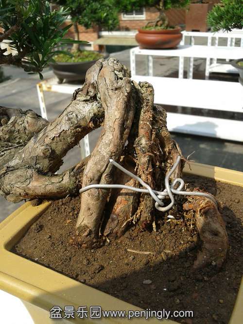 2013-10-23 12.39.00.jpg