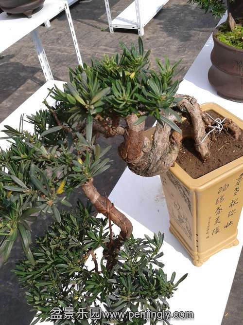 2013-10-23 12.40.15.jpg