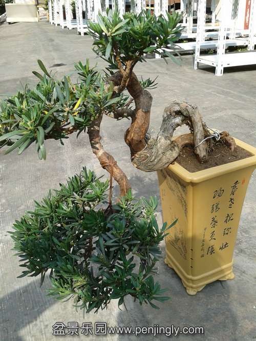 2013-10-23 12.55.40.jpg