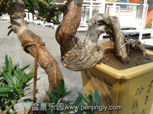 2013-10-23 12.55.57.jpg