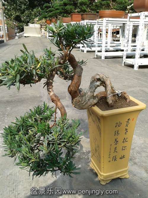 2013-10-23 12.55.07.jpg