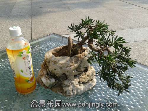 2013-10-20 09.43.17.jpg