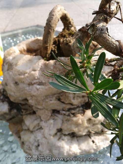 2013-10-20 09.44.02.jpg