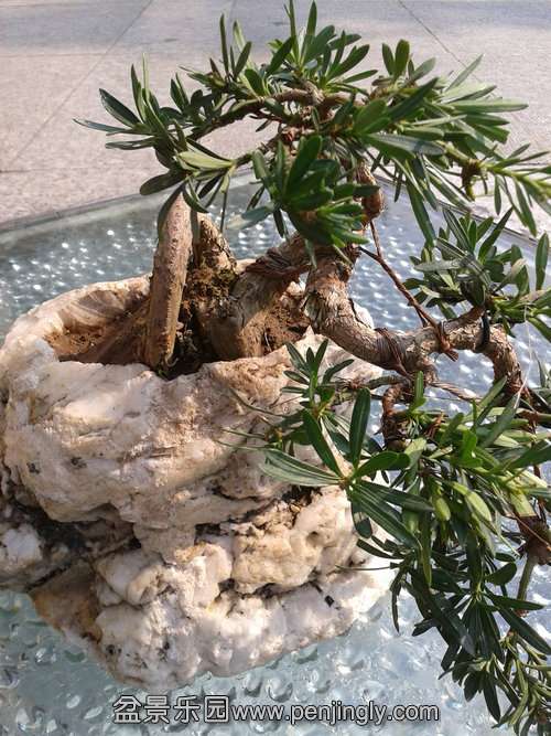 2013-10-20 09.45.39.jpg