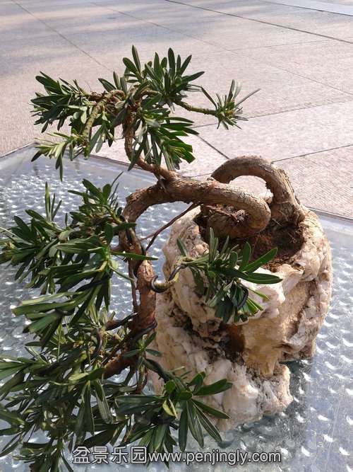 2013-10-20 09.46.09.jpg