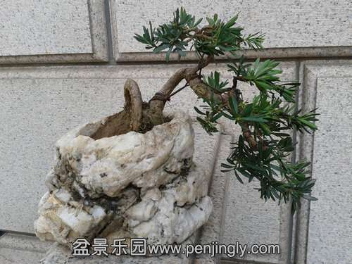 2013-10-20 09.47.53.jpg