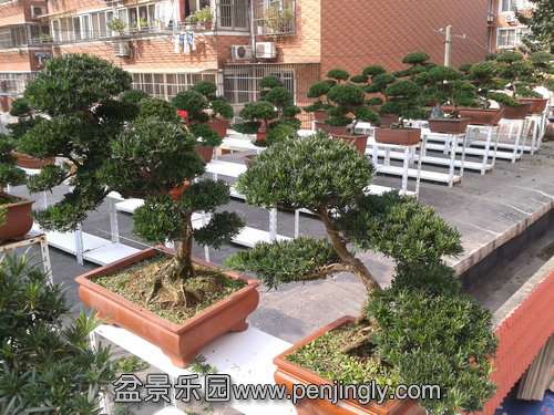 2013-10-21 13.32.08.jpg