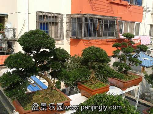 2013-10-21 13.32.41.jpg