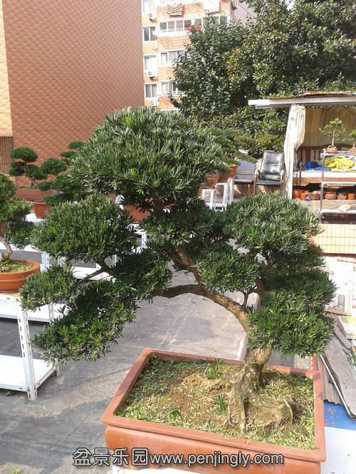 2013-10-21 13.32.58.jpg