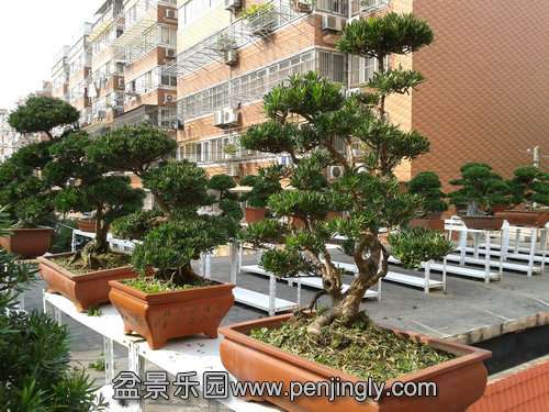 2013-10-21 13.34.03.jpg