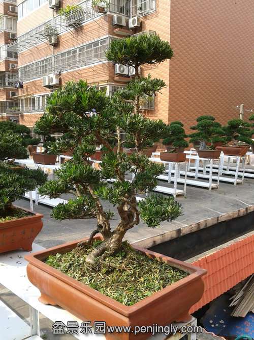 2013-10-21 13.34.15.jpg